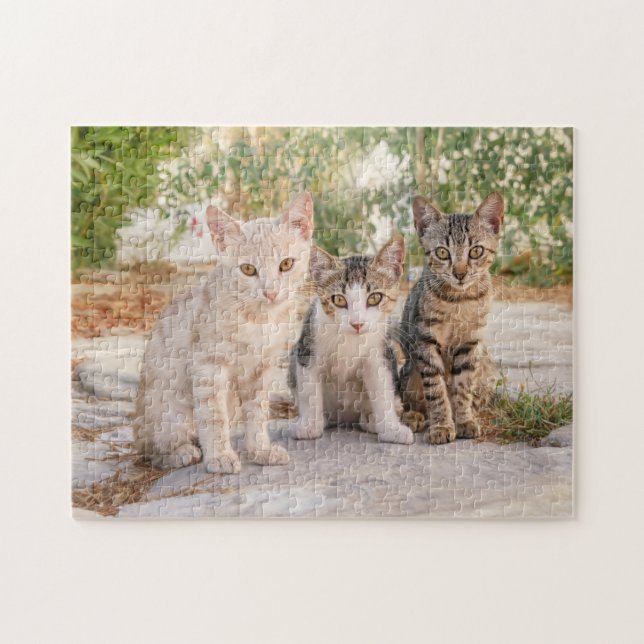 Puzzle Three young cute cat kittens sit friendly together (Horizontal)