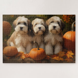 Puzzle Tibétain Terrier Chiot Automne Citrouille délice