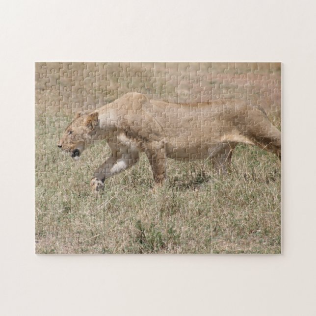 Puzzle tige de lionne (Horizontal)