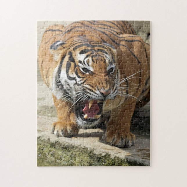 Puzzle Tiger_2015_0156 (Vertical)