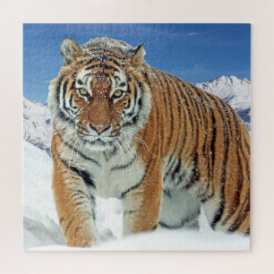 Puzzle Tiger Montagnes de Neige Animaux Tendance Photo