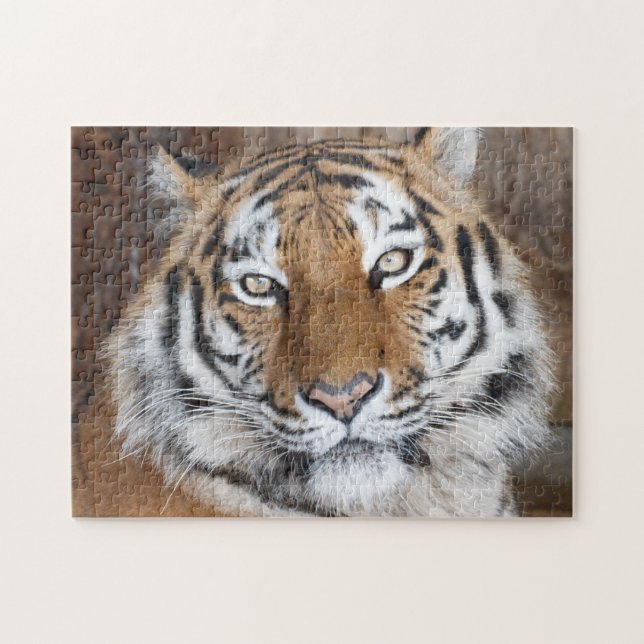 Puzzle Tiger Portrait (Horizontal)