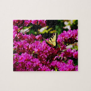 Puzzle Tiger Swallowtail on Azalea