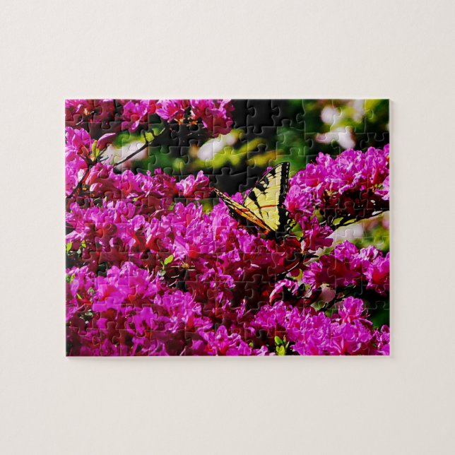 Puzzle Tiger Swallowtail on Azalea (Horizontal)