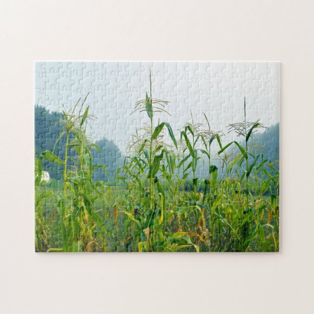 Puzzle Tiges de maïs Wisconsin. (Horizontal)