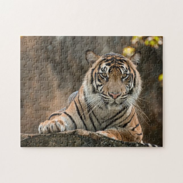 Puzzle Tigre (Horizontal)