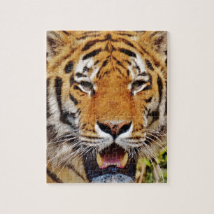 Puzzle Tigre