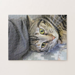 Puzzle Tigre