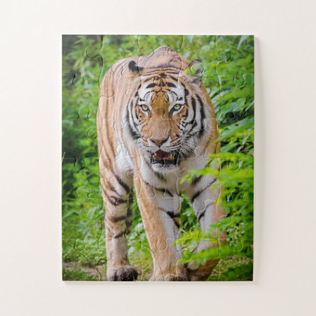 Puzzle Tigre Adulte Prowling Parmi Les Feuilles Vert Clai (Vertical)