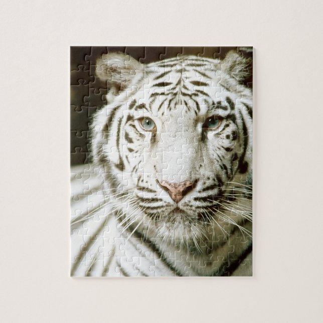 Puzzle Tigre blanc (Vertical)