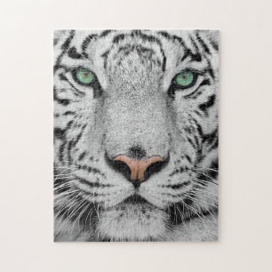 Puzzle Tigre blanc