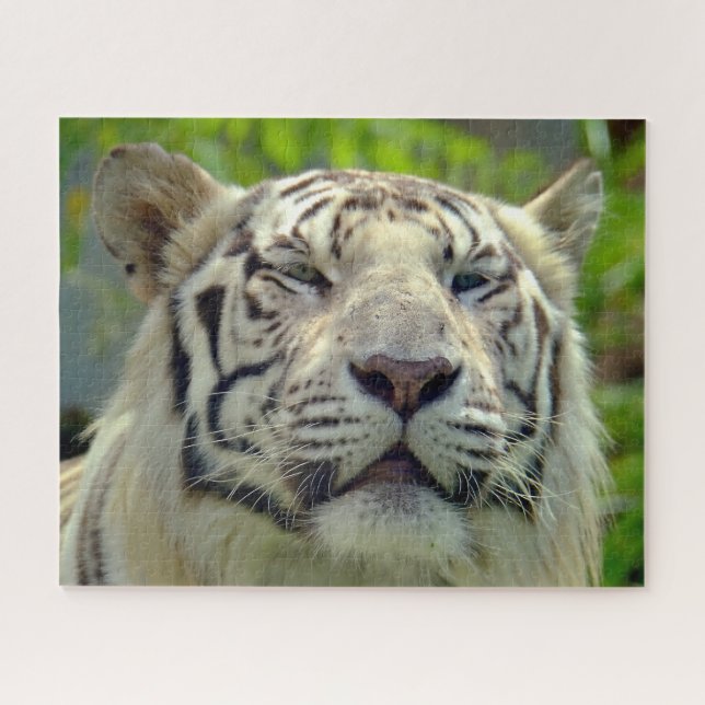 Puzzle Tigre Blanc de Près #2 (Horizontal)