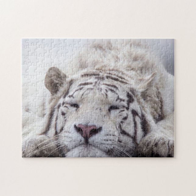 Puzzle Tigre blanc dormant (Horizontal)