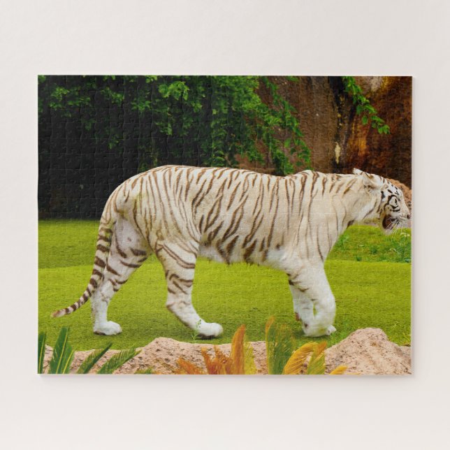 Puzzle Tigre Blanc du Bengale. Grands Félins. (Horizontal)