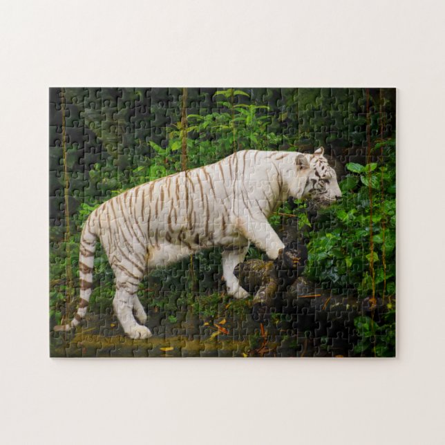 Puzzle Tigre blanc Singapour. (Horizontal)