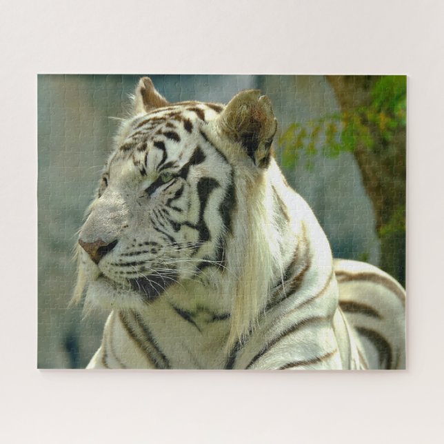 Puzzle Tigre blanc vers le haut (Horizontal)