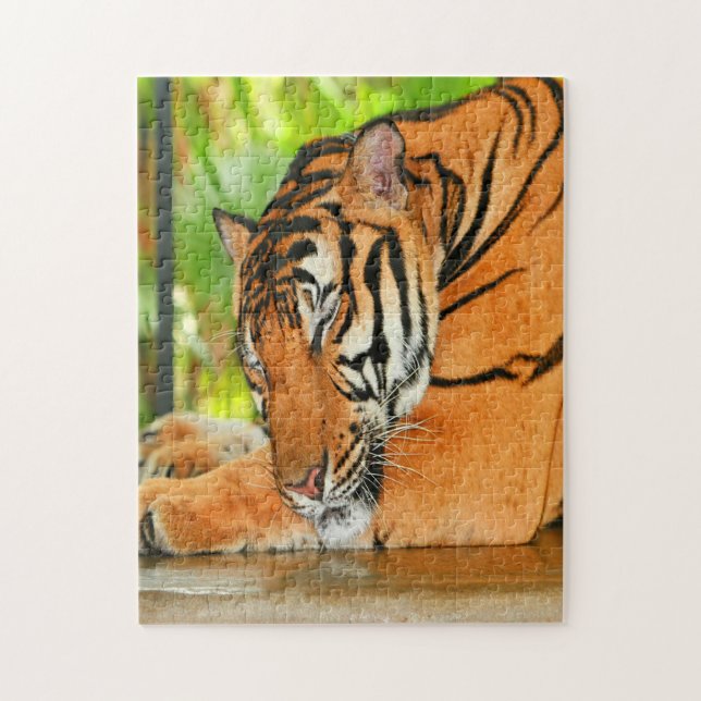 Puzzle Tigre couchant (Vertical)