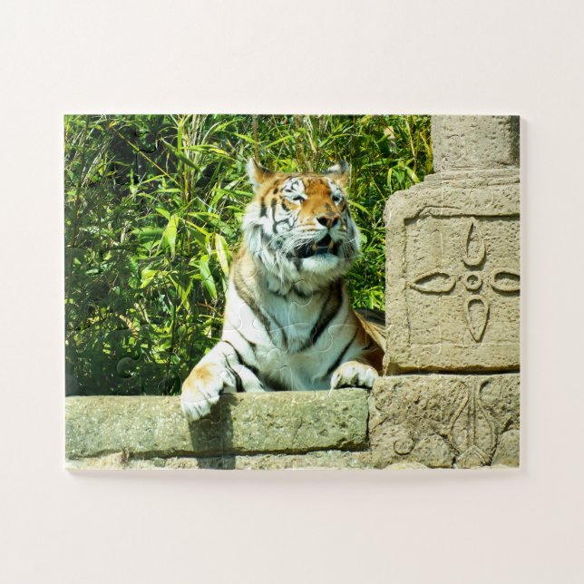 Puzzle Tigre dans le temple (Horizontal)
