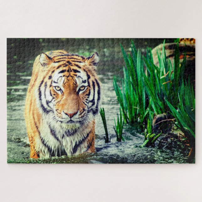 Puzzle Tigre dans l'eau (Horizontal)
