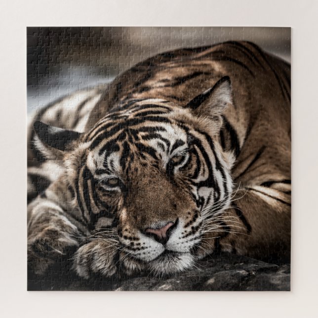 Puzzle Tigre de Ranthambore : gros plan. (Vertical)