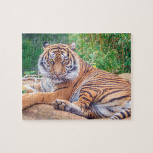 Puzzle Tigre de rappel relaxant
