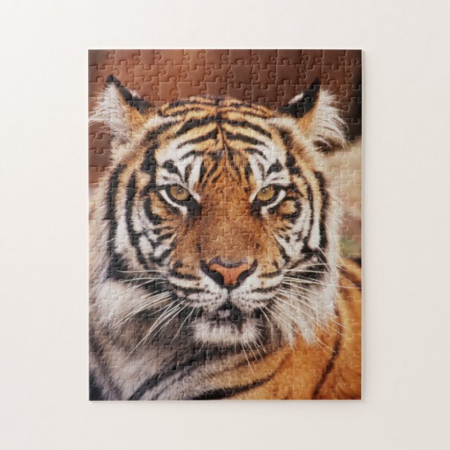 Puzzle Tigre de Sumatra (Vertical)