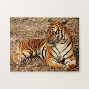 Puzzle Tigre de Sumatran 2