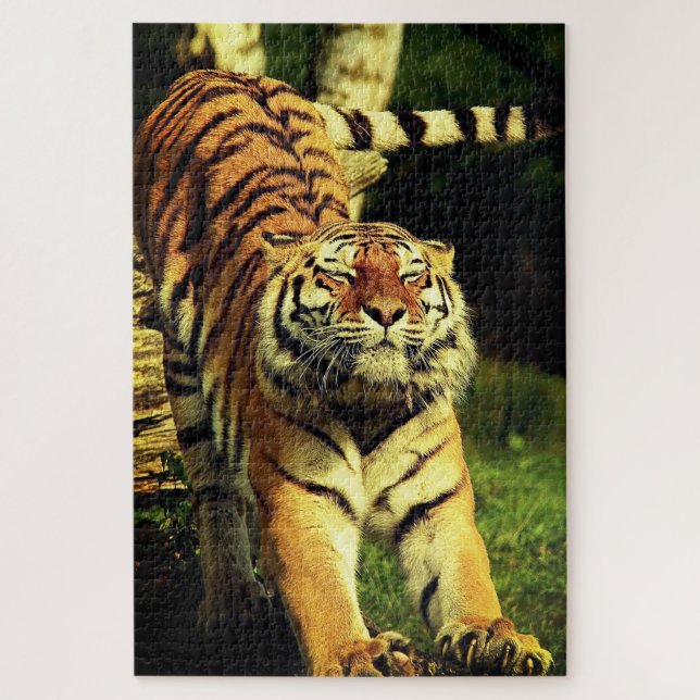 Puzzle Tigre d'étirement (Vertical)