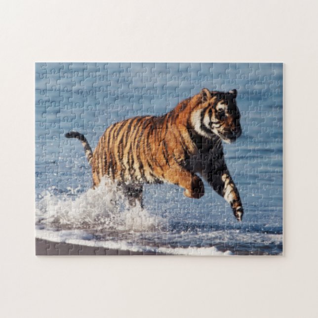 Puzzle Tigre du Bengale (Panthera Tigris) (Horizontal)