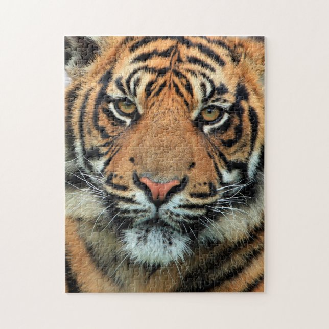 Puzzle Tigre - Face (Vertical)