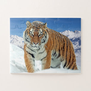 Puzzle Tigre Tiger Montagnes de Neige Tendance Photo d'an
