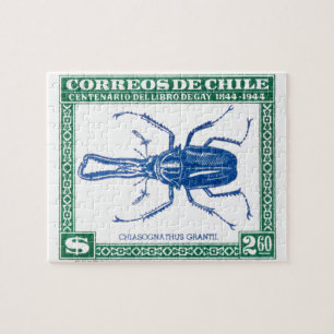Puzzle Timbre-poste 1948 de scarabée de mâle du Chili