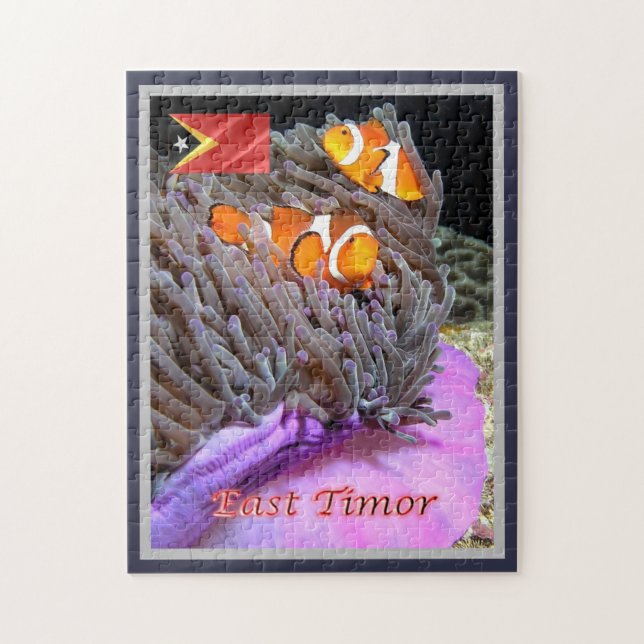 Puzzle Timor oriental - Anémonefish - (Vertical)