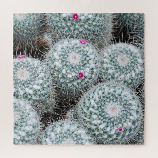 Puzzle Tiny rose Fleurs Plantes Cactus