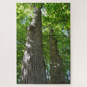 Puzzle Tirer plus de 1 000 pièces, Tours d'arbres