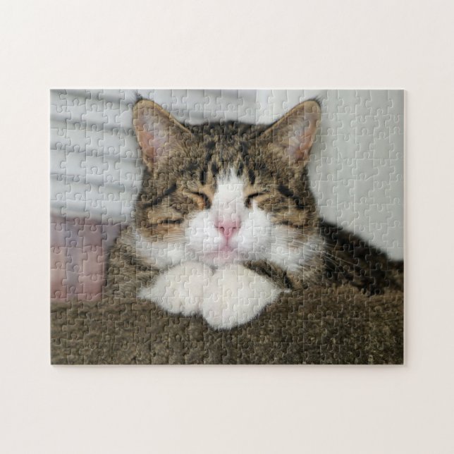 PUZZLE TJ (Horizontal)