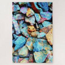 Toad orange entouré de rochers colorés