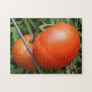 Puzzle Tomates De Jardin Rouge Ripe Sur La Vigne Nature