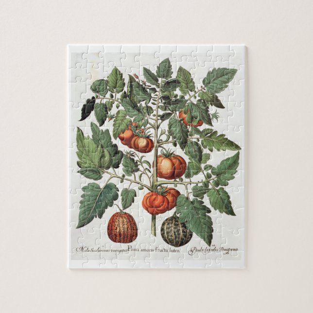 Puzzle Tomates et melons : luteo de fructu des amoris (Vertical)