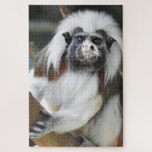 Puzzle Top du coton Tamarin