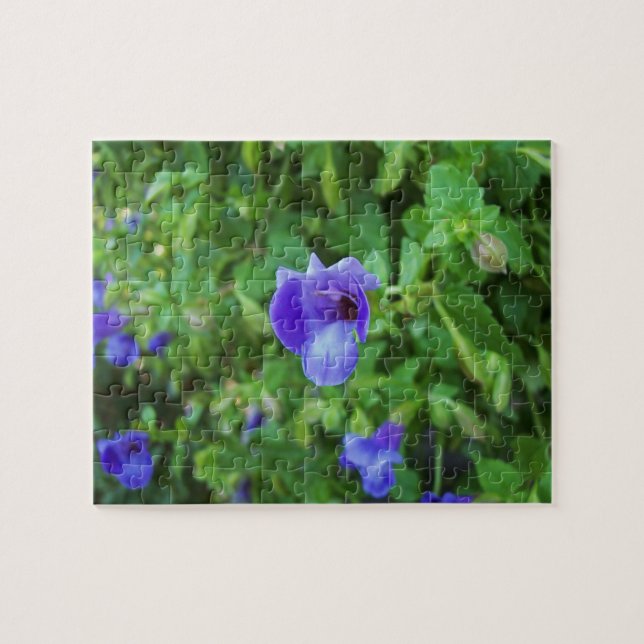 Puzzle Torenia (Horizontal)