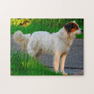 Puzzle Tornjak Dog Jigsaws.