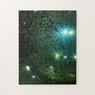 Puzzle Toronto Aquarium Canada.