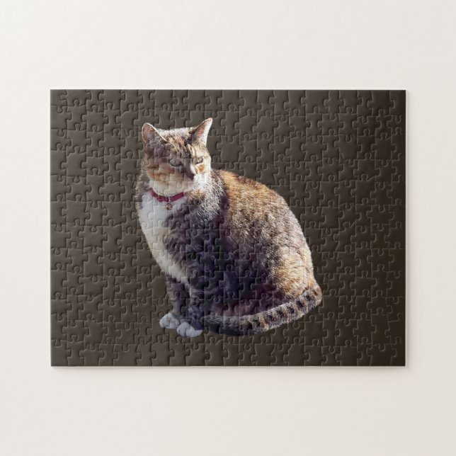 Puzzle Tortoiseshell (Horizontal)