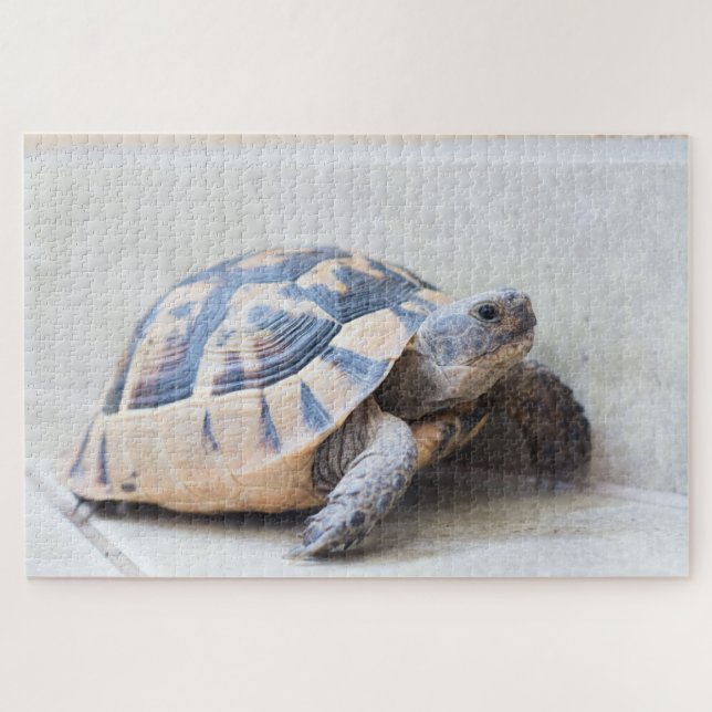Puzzle Tortue (Horizontal)