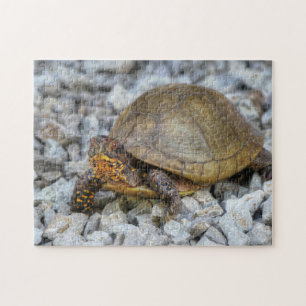 Puzzle Tortue
