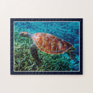 Puzzle Tortue Créature Marine Océan Faune
