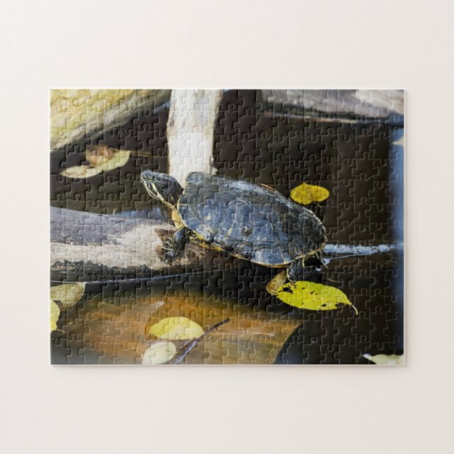Puzzle Tortue de glisseur d'étang dans le sauvage (Horizontal)