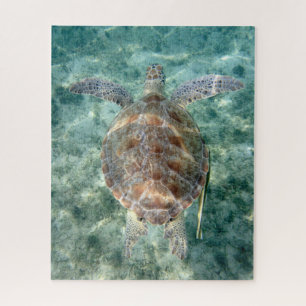 Puzzle Tortue de mer