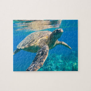 Puzzle Tortue de mer